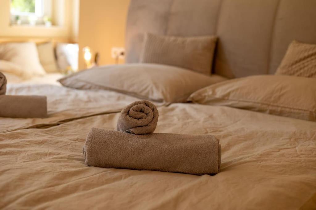 Innenstadt Appartement *Garten* Dresden Ngoại thất bức ảnh